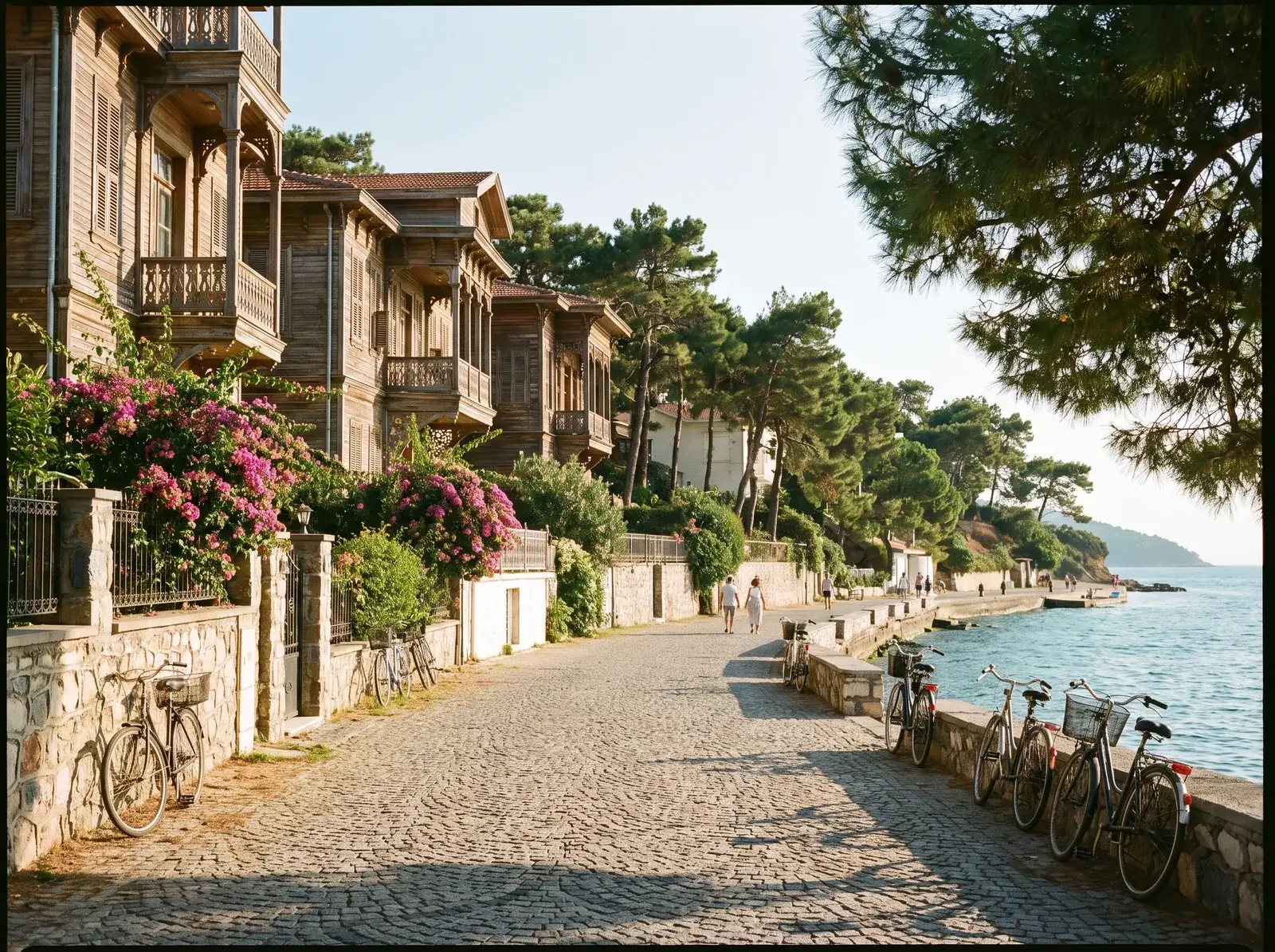 A car-free street on one of the Princes’ Islands